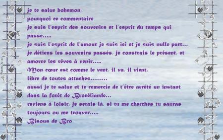 message pour BOHEMON